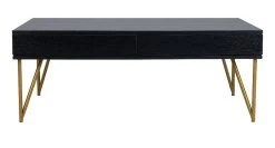 Pine Two Drawer Coffee Table In Black/Gold - Safavieh COF2238B -Safavieh Homeware 187 cof2238b front