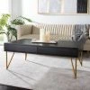 Pine Two Drawer Coffee Table In Black/Gold - Safavieh COF2238B -Safavieh Homeware 187 cof2238b room