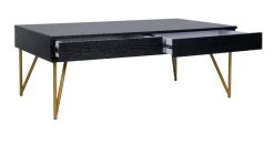Pine Two Drawer Coffee Table In Black/Gold - Safavieh COF2238B -Safavieh Homeware 187 cof2238b side