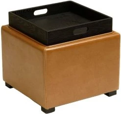 Bobbi Tray Storage Ottoman In Java/Saddle - Safavieh HUD4006C