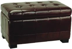 Small Manhattan Storage Bench In Cordovan/Black - Safavieh HUD4201E