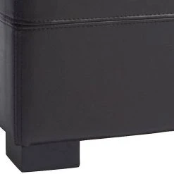 Maiden Tufted Storage Bench Lg In Brown/Black - Safavieh HUD8229A -Safavieh Homeware 187 hud8229a leg