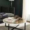 Cheyenne Coffee Table In Cream - Safavieh TRB1001F -Safavieh Homeware 187 trb1001f room